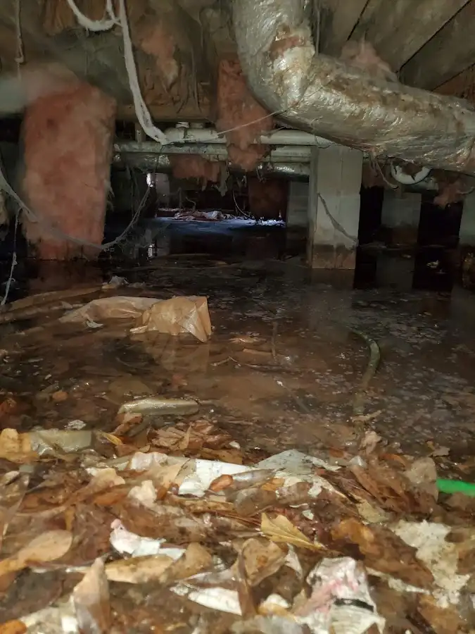 Crawl space flood assessment for Leak Detection & Repair in Redding